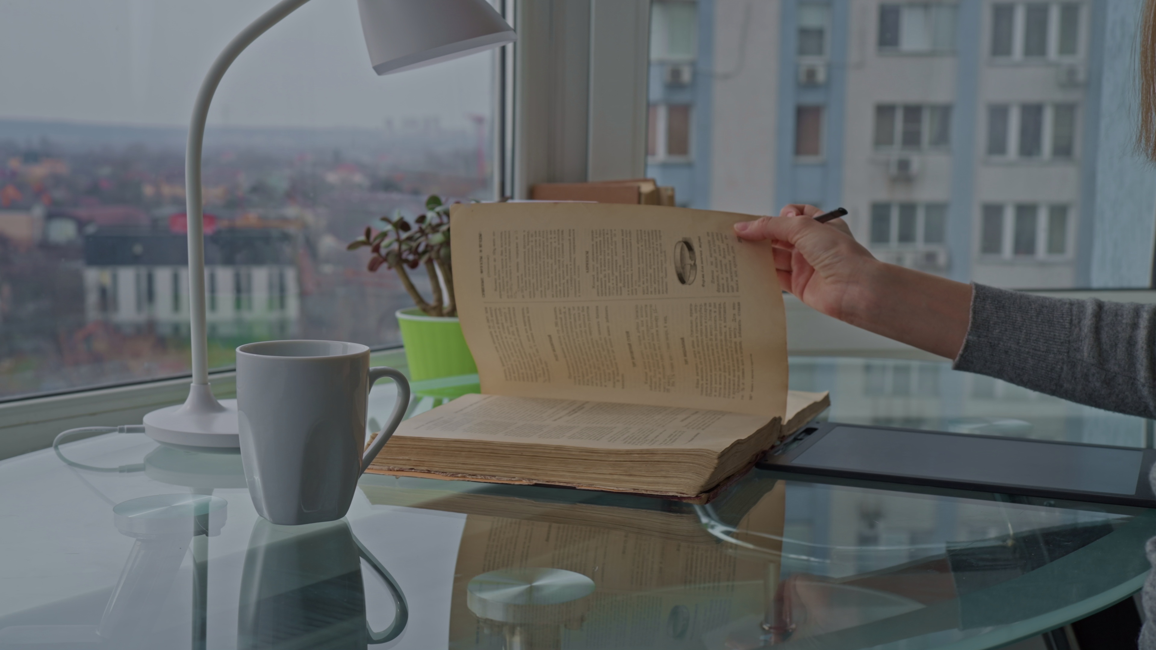 Student reading book